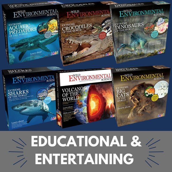 Educational toys and games